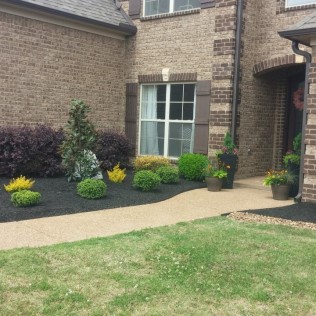 landscaping image