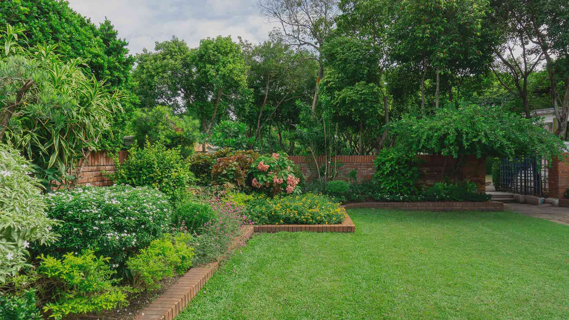 beautiful green residential lawn in Jackson, TN