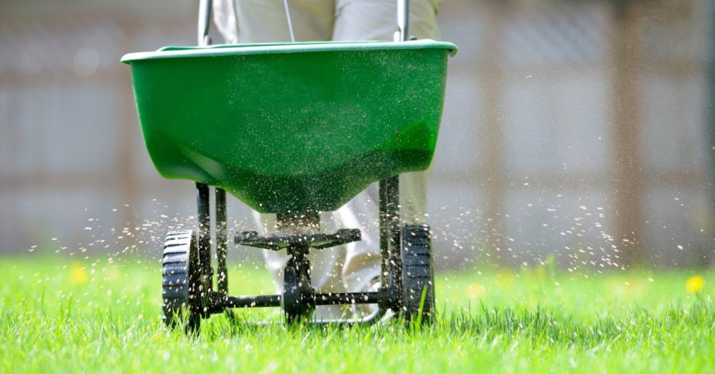 From Lawn Fertilization to Full Service The Best Lawn Care Near You