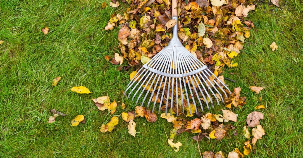 Leaf Removal Services in Jackson, TN Fall Cleanup Done Right