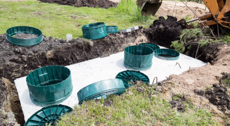 best bermuda grass seed