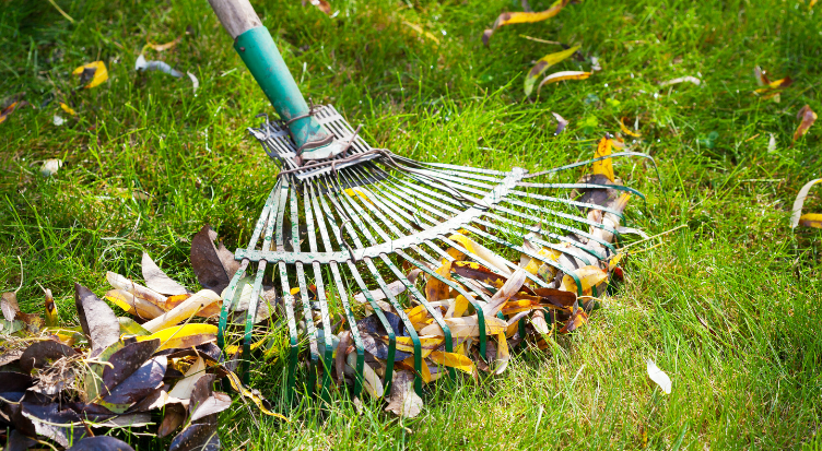 spring lawn care checklist