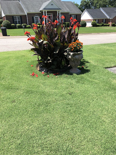 Photo from customer review