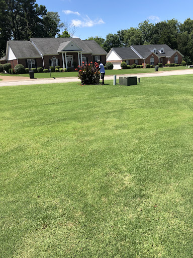 Photo from customer review