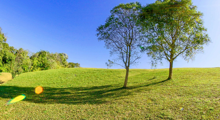 landscaping jackson (1)