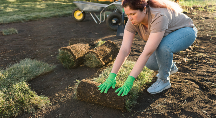 Sod Lawn Installation