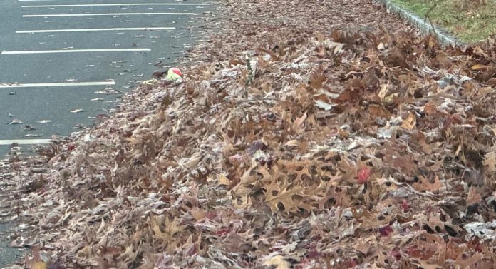 Fall leaf removal service in Jackson Tennessee