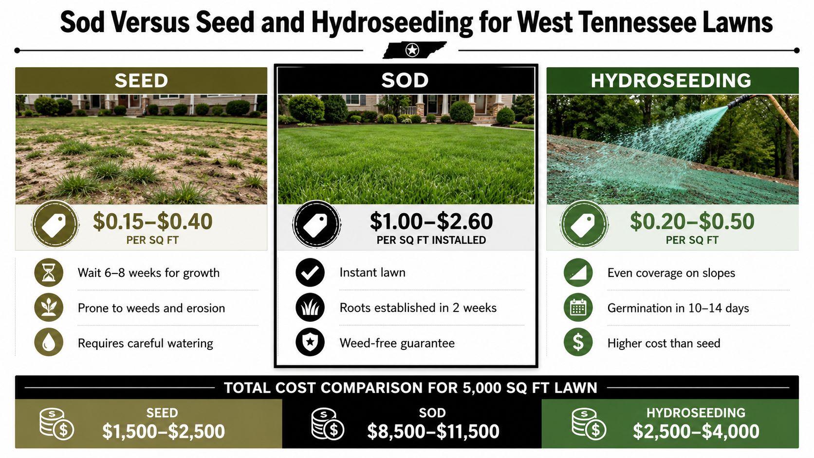 A comparison chart showing the costs, pros, and cons of seed, sod, and hydroseeding for lawns.