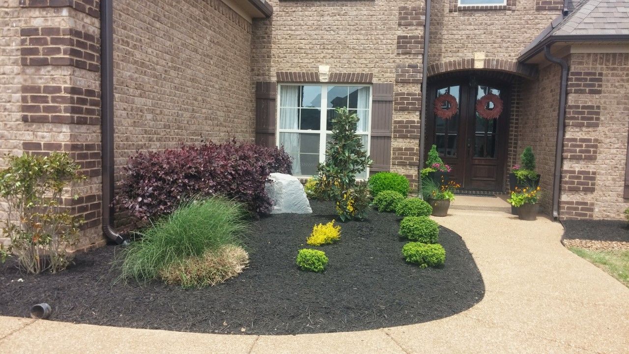 Dark mulch bed with boxwood shrubs, small evergreens and ornamental grass along the front of a brick home and walkway