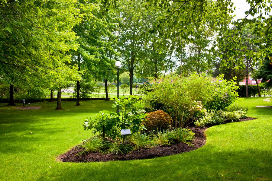Round planting bed with flowering shrubs and dark mulch in a green lawn under tall shade trees
